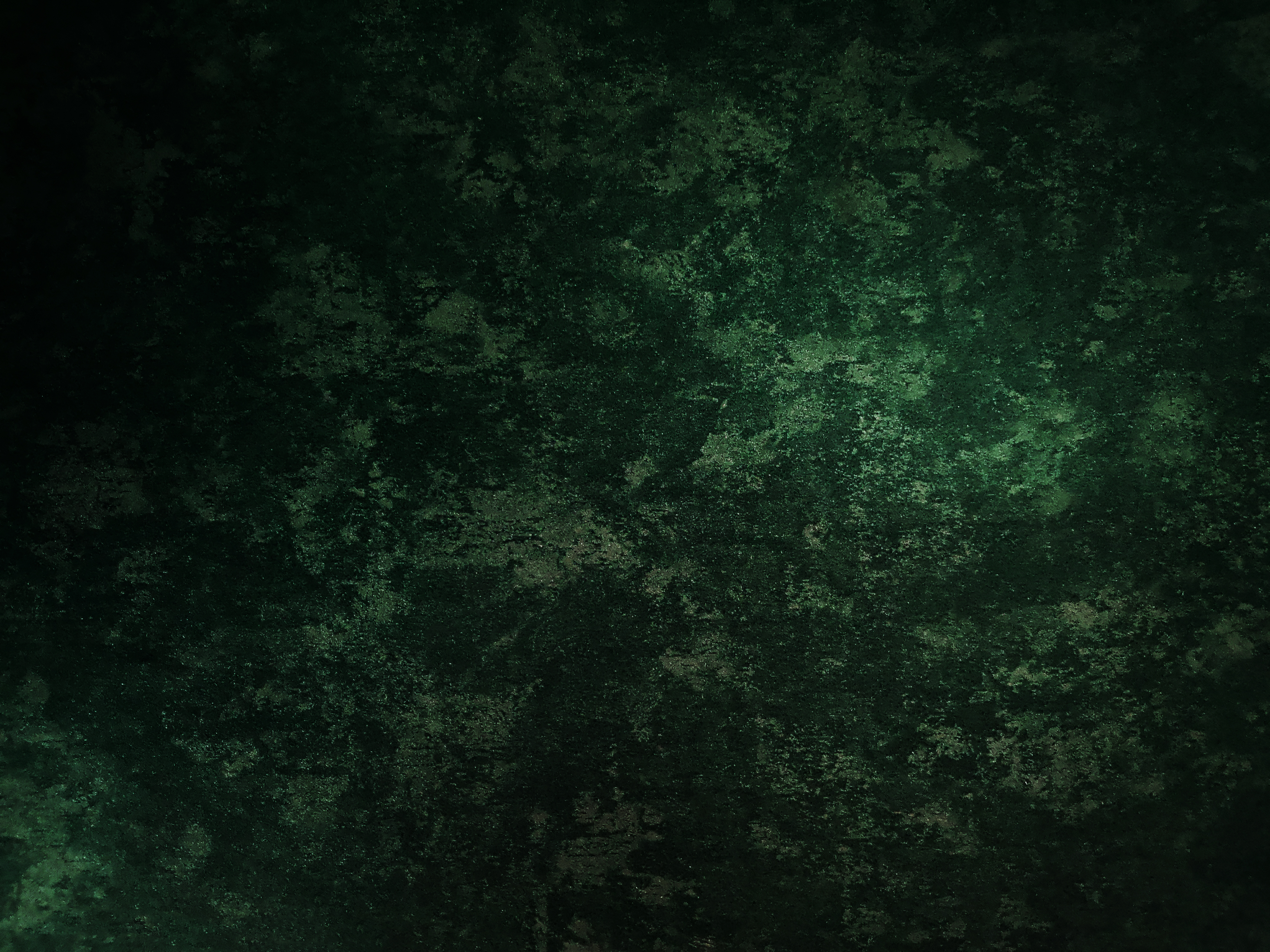 Conferência anual da FADM debate futuro da economia